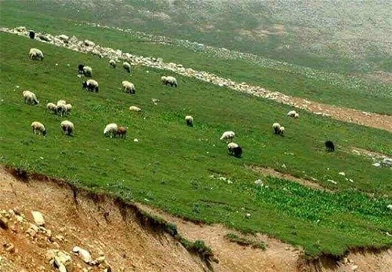 آیا وسعت مراتع کشور کاهش پیدا کرده است؟ آیا وسعت مراتع کشور کاهش پیدا کرده است؟