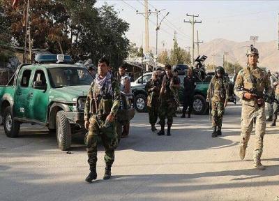 338 نفر از اعضای طالبان در 10 ولایت افغانستان کشته و زخمی شدند