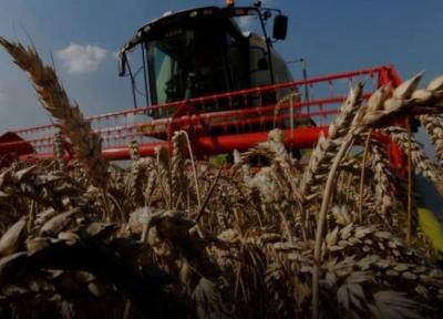 افزایش خرید گندم ایران از بازار جهانی