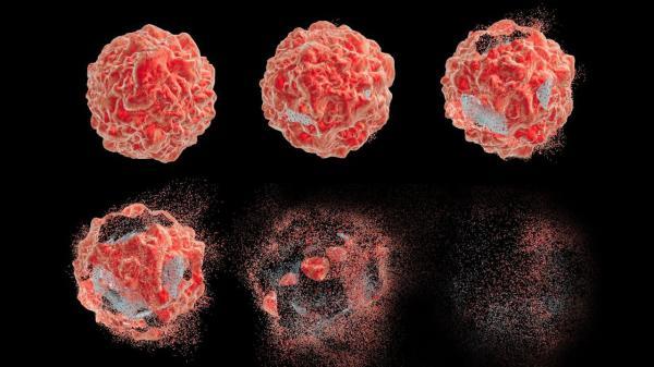 محققان پیروز به طراحی نانوذراتی برای نابودی سلول های سرطانی شدند